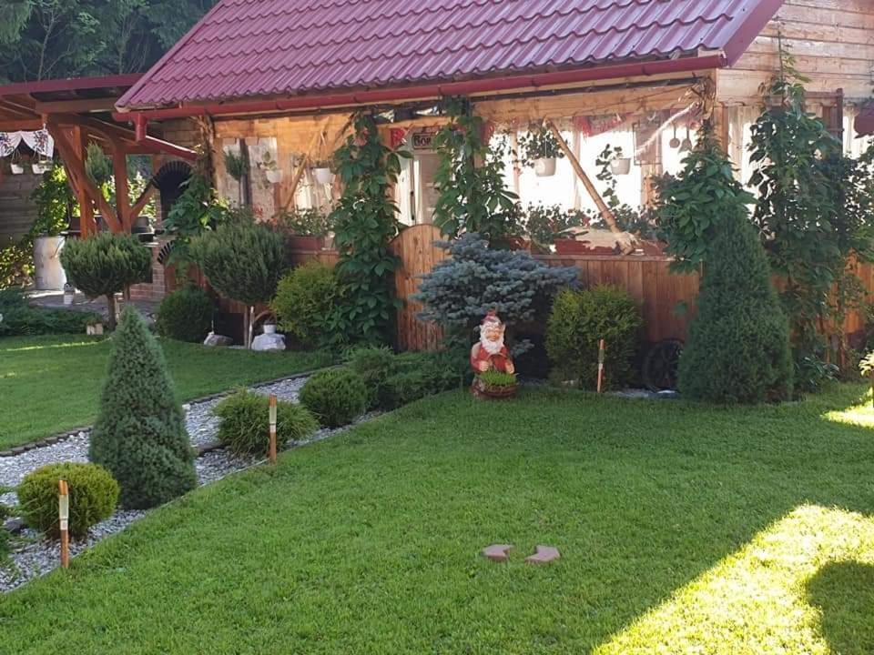 Pensiunea Gianina Arieseni Exterior photo